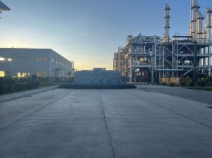 N,N-Dimethylcapramide   CAS No. 14433-76-2