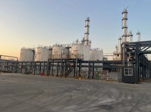 N,N-Dimethylcapramide   CAS No. 14433-76-2