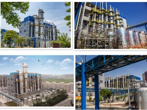 Factory supply 2-Methylbenzyl cyanide Cas 22364-68-7