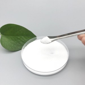 Factory supplier 2-Methylphenylacetic acid CAS:644-36-0 with best price and high quality